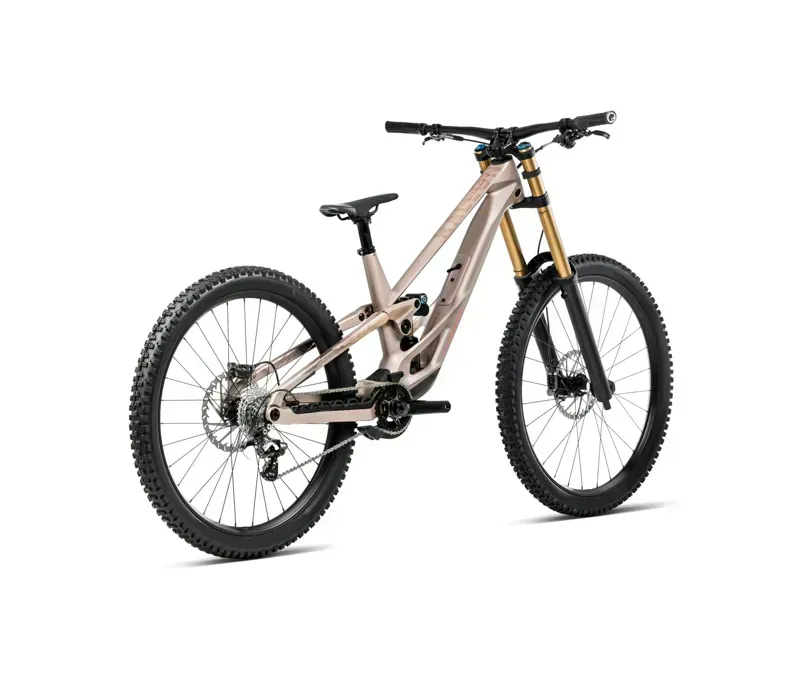 Orbea Rallon DH-LTD Mountain Bike In Nickel Matt/Nickel Chrome Gloss-2