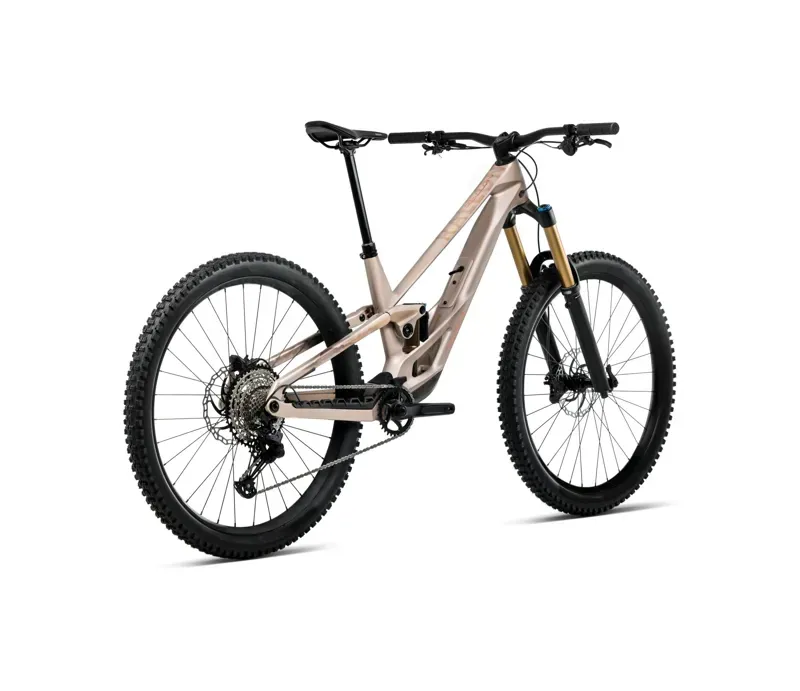 Orbea Rallon E-Team MTB in Nickel Matt/Nickel Chrome Gloss-2